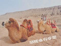 -火焰山景区(火焰山镇)