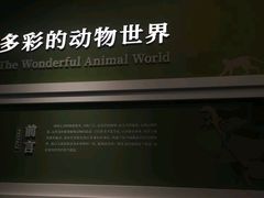 -国家自然博物馆