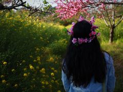 -南汇桃花村