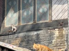 -中华圣公会教堂旧址