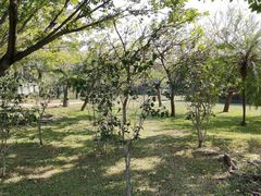 -荔香公园