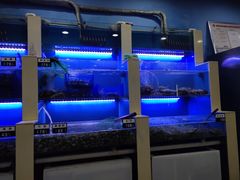 -老虎滩大连海鲜烧烤(建邺云锦路总店)