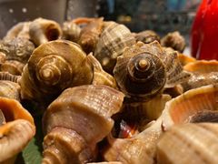 -美食汇自助西餐厅(荆州富力万达嘉华酒店)