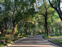 -昆山城市生态森林公园