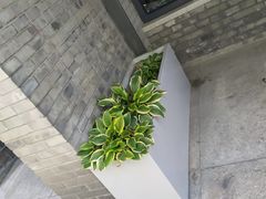 -挚友(东四二条)