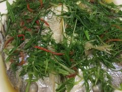 -老三鱼仔店