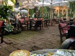 -Fern Forest Cafe