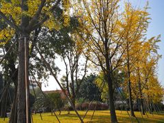 -西南民族大学南区(双流校区)