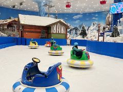 -长沙湘江冰雪世界