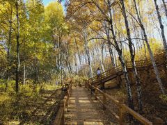 -塞罕坝国家级自然保护区