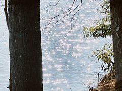 -苏州太湖国家湿地公园