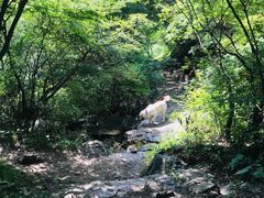 -濂泉响谷