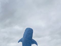 -珠海长隆海洋王国