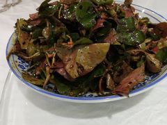 -西木兔(大圆祥店)