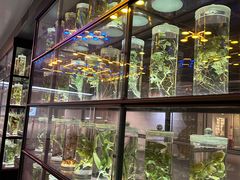 -广东中医药博物馆