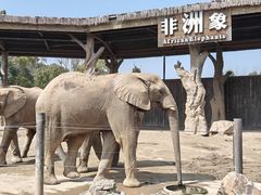 -上海野生动物园
