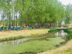 -东郊湿地公园