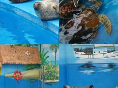 -海合安成都极地海洋公园
