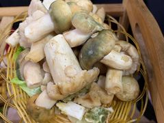 -菌粹源野生菌(木水花市场店)