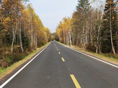 -五营红松林海景区