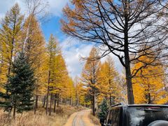 -塞罕坝国家级自然保护区