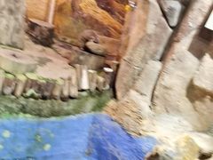 -正佳雨林生态植物园