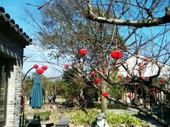 -田园东方蜜桃村的田野营地