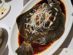 清蒸多宝鱼-峨嵋酒家总店(车公庄店)