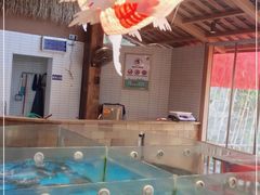 水产区-耕渔小院·湖南鱼鲜(望城店)
