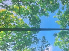 -水云空涧·沐足·采耳·按摩·SPA影院(琶洲店)