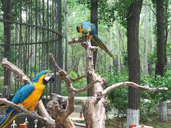 -北京野生动物园