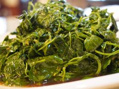 金花菜酒香-新聚丰菜馆(太监弄店)