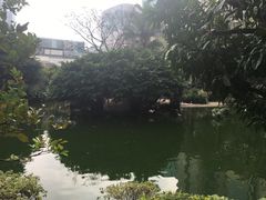 -九龙公园
