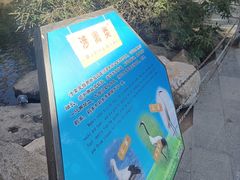 -临沂动植物园