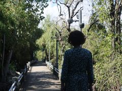 -南诏风情岛