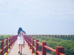 -北海金海湾红树林生态旅游区