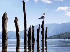 -泸沽湖里格半岛