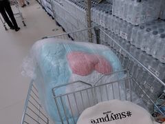 -盒马X会员店(上海森兰商都店)