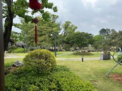 -江心屿景区