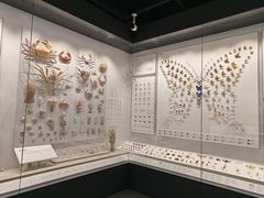 -四川大学博物馆