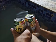 -林丰温泉度假山庄