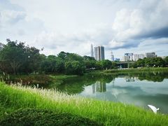 -福田红树林生态公园