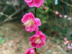 -宁波野生动物园