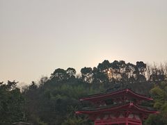 -重庆园博园