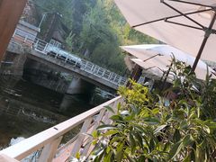 -Local泰莲庭(虹鳟鱼店)