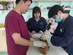 -北京观赏动物医院·24小时大型综合·猫专科·异宠专科