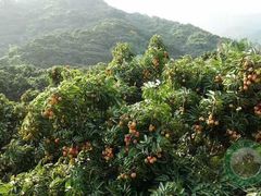 -南通洲际绿博园