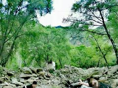 -铁山坪森林公园