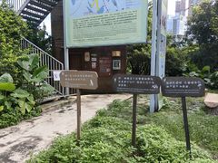 -华侨城湿地公园