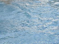 -汪说喵讲宠物乐园宠物酒店(红星美凯龙店)